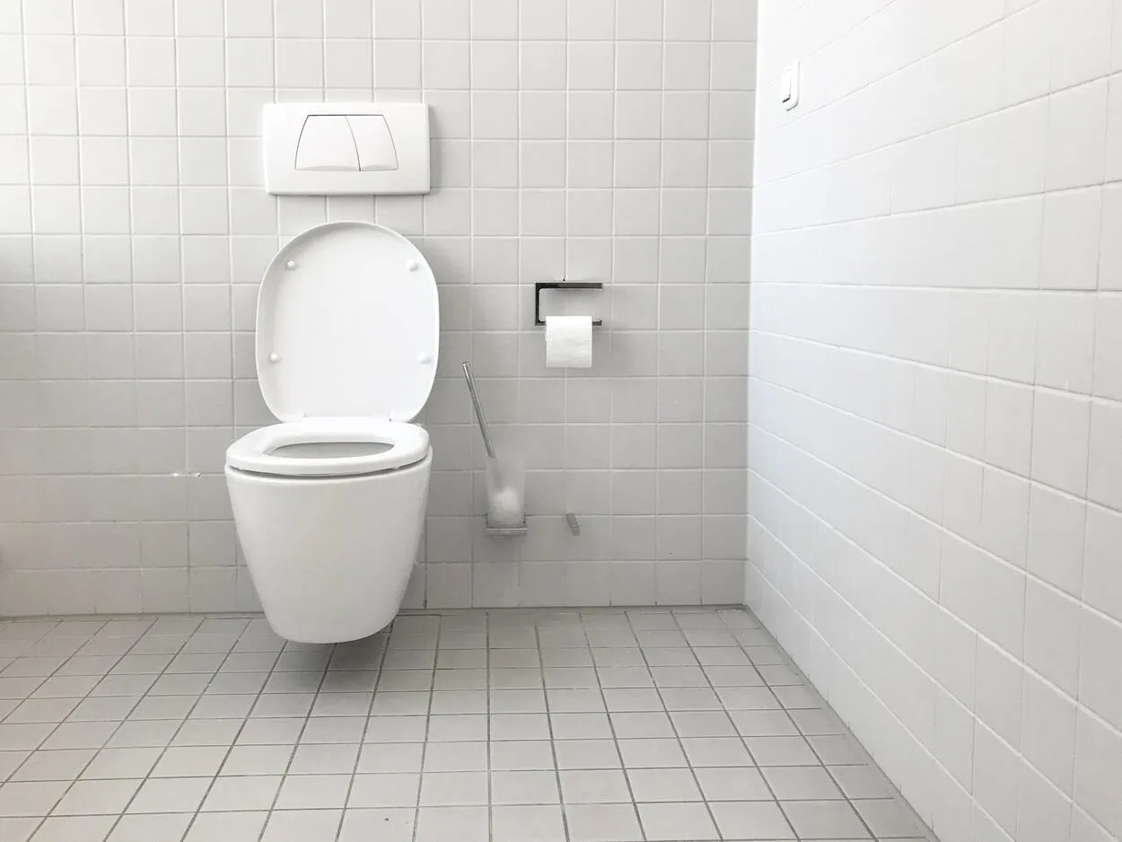  Wat is het verschil tussen een toilet en een waterkast? (Ontdek het) - Alle Verschillen