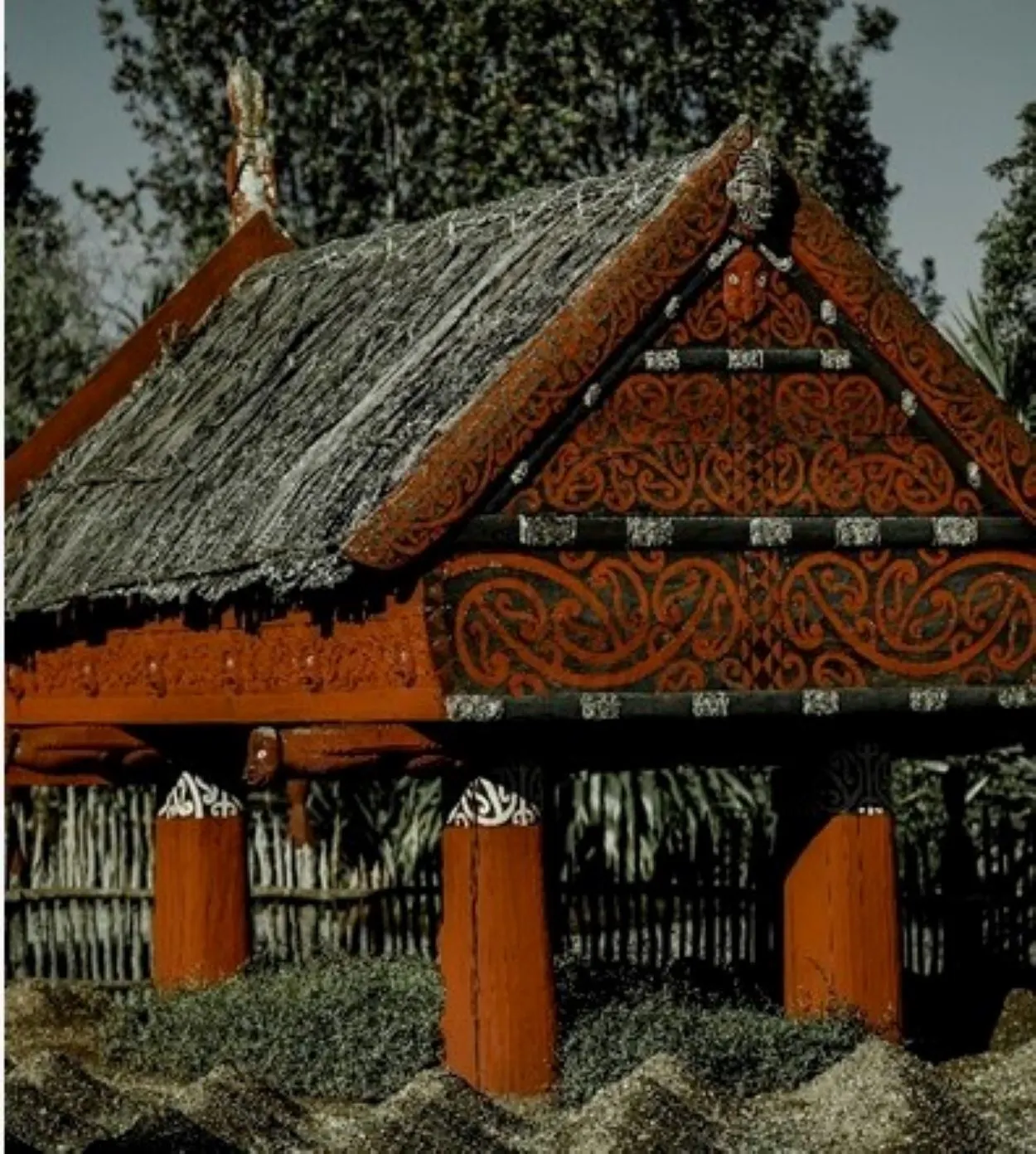  Kakšna je razlika med samoanskim, maorskim in havajskim jezikom? (obravnavano) - Vse razlike