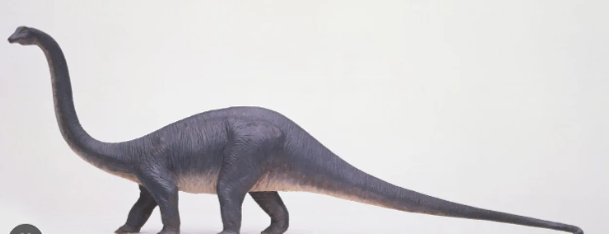  Diplodocus vs. Brachiosaurus (Diferencia detallada) - Todas las diferencias
