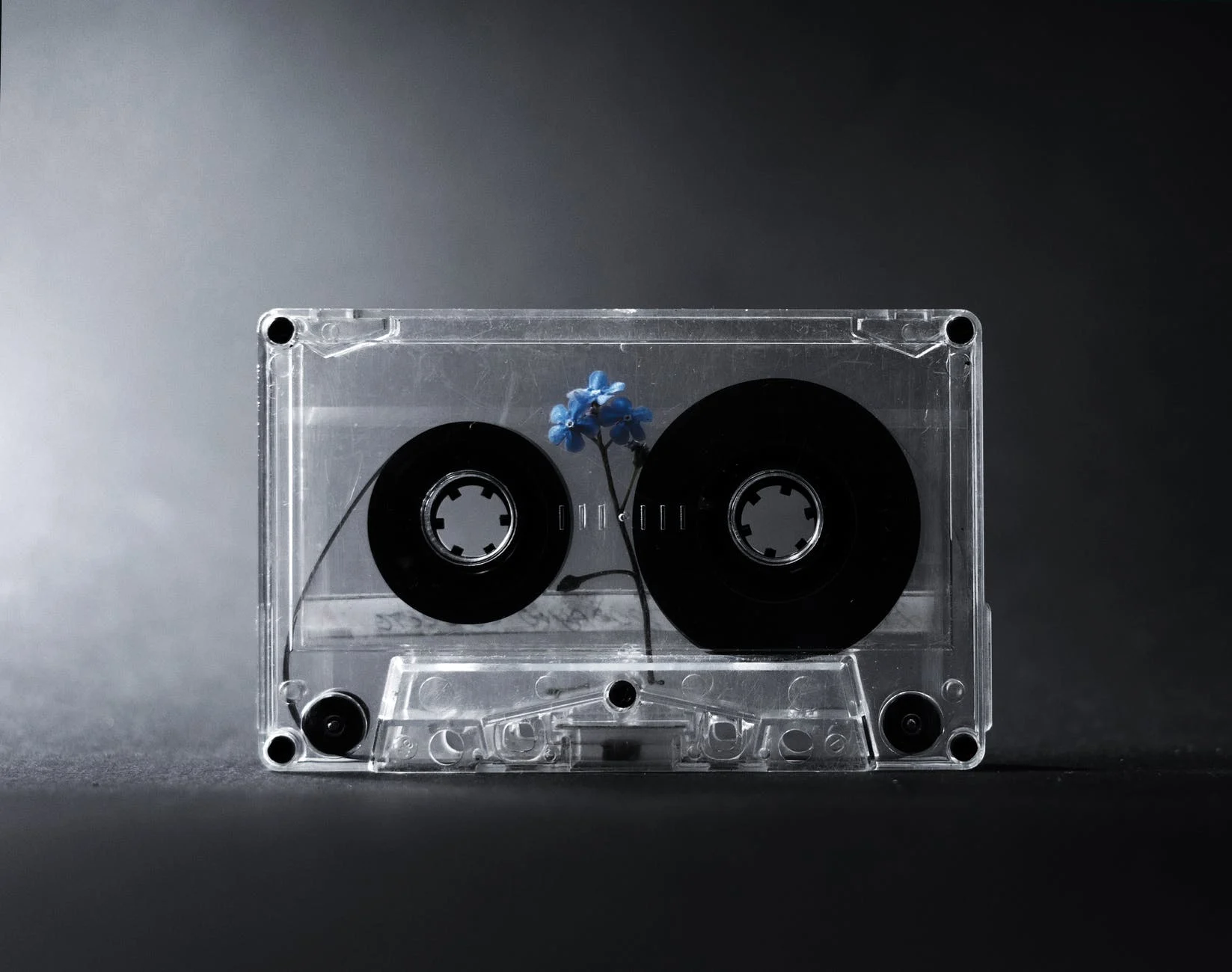  Mixtapes VS Albums (Vergelijk en Contrast) - Alle Verschillen