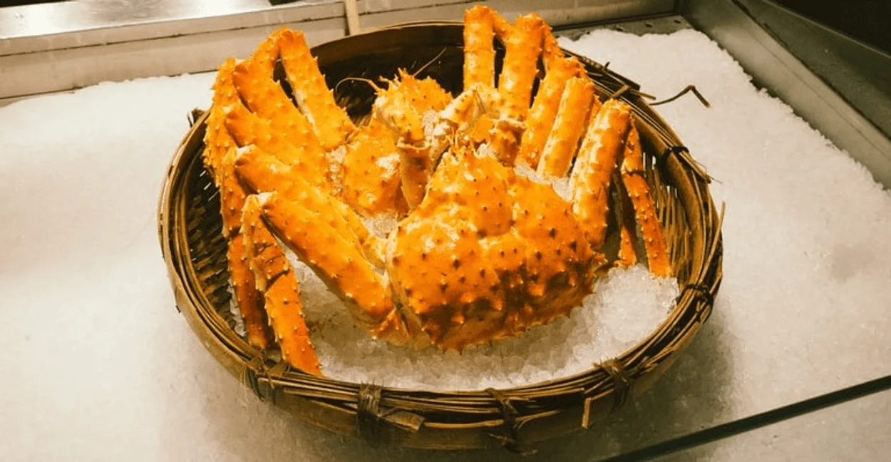  Crùbag sneachda VS King Crab VS Dungeness Crab (An coimeas) - Na h-eadar-dhealachaidhean uile