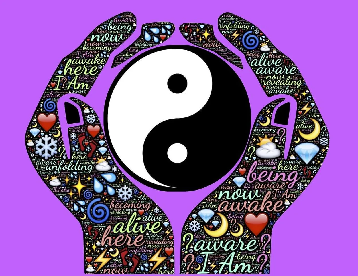  Gibt es einen Unterschied zwischen Yin und Yang? (Wählen Sie Ihre Seite) - Alle Unterschiede