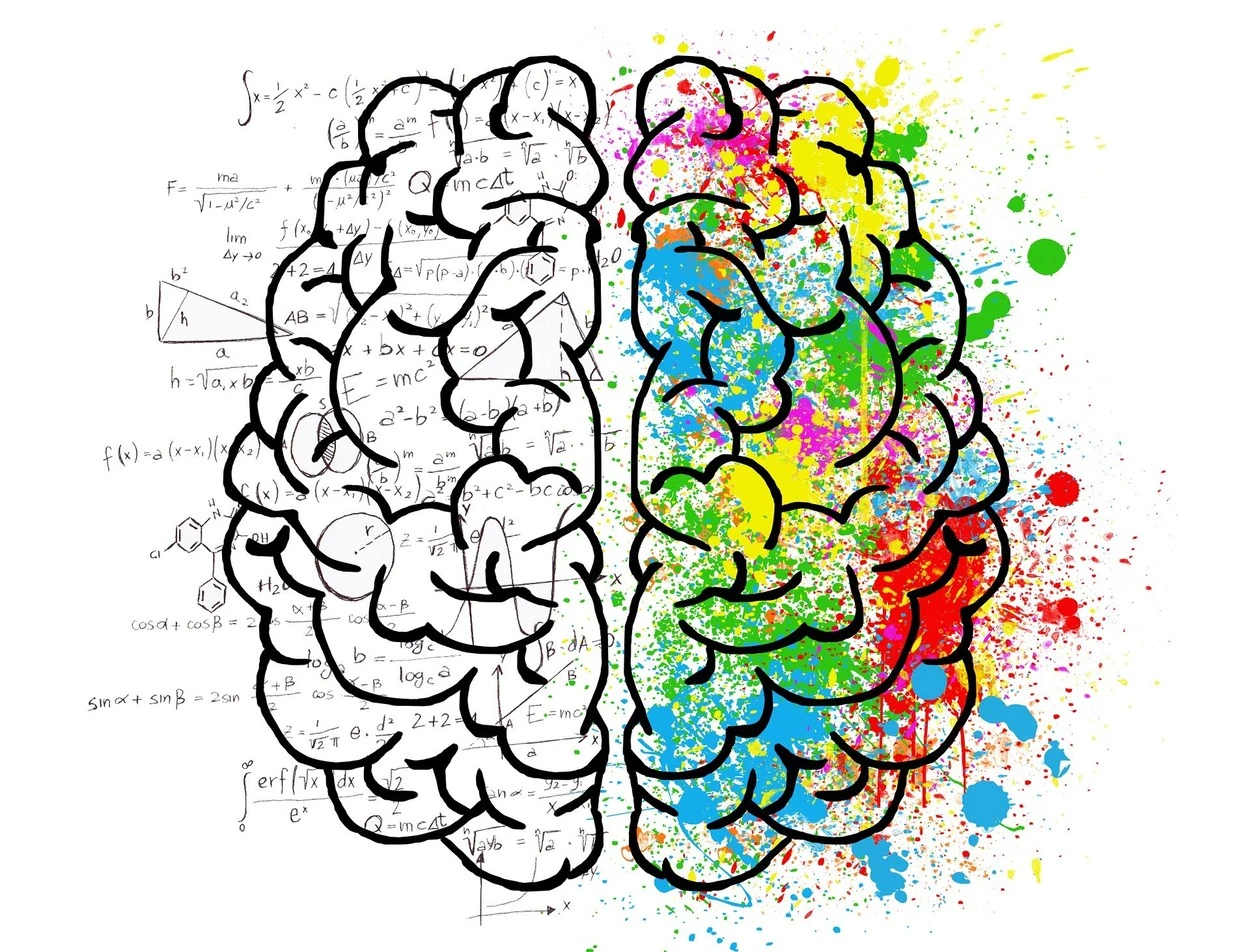  Nörobilim, Nöropsikoloji, Nöroloji ve Psikoloji Arasındaki Farklar (Bilimsel Bir Dalış) - Tüm Farklar