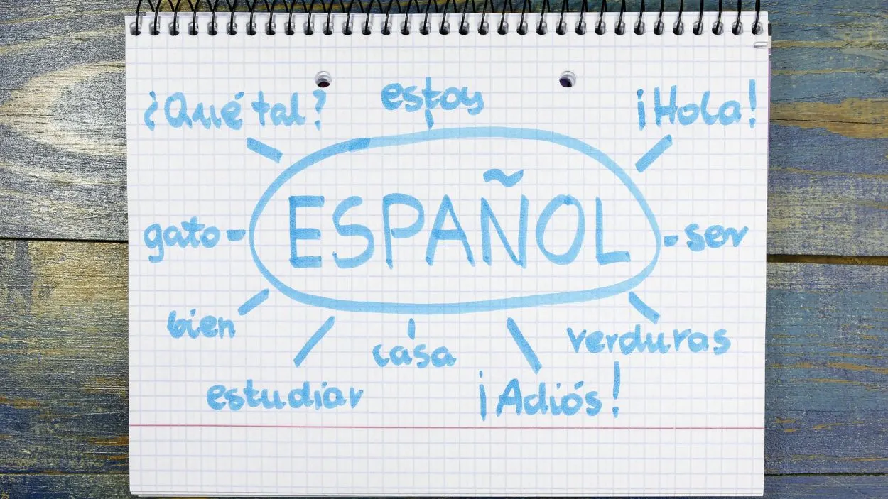  Տարբերությունները «Որդու» և «Էստանի» միջև իսպանական զրույցի մեջ (նո՞ւյնն են նրանք:) - Բոլոր տարբերությունները